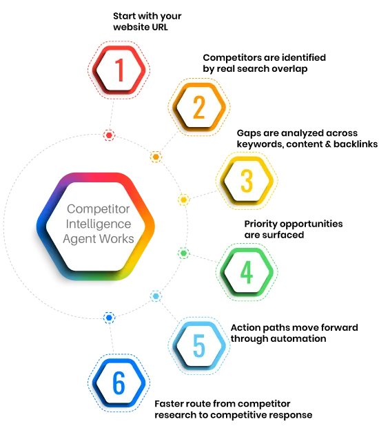 DigiSuite SEO Dashboard